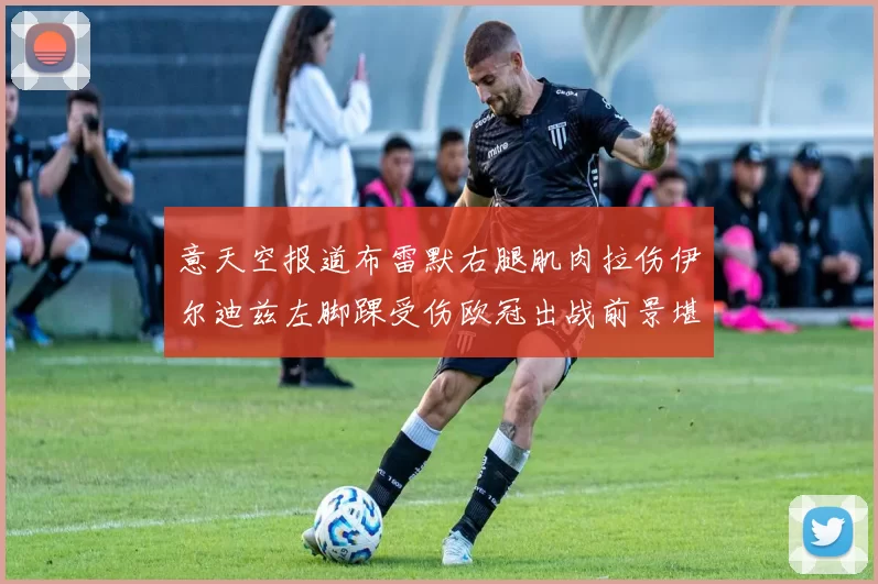 意天空报道布雷默右腿肌肉拉伤伊尔迪兹左脚踝受伤欧冠出战前景堪忧